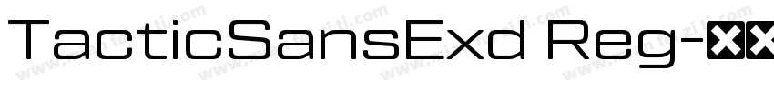 TacticSansExd Reg字体转换